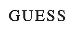 Logo guess